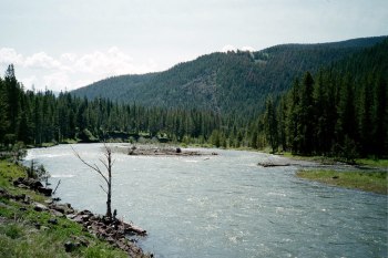 Shoshone River Wyoming