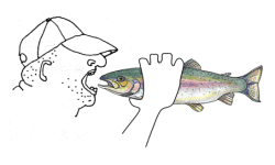 man bites fish